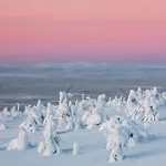 Apartman Auroras - Premium Ski-in, Ski-out In Levi