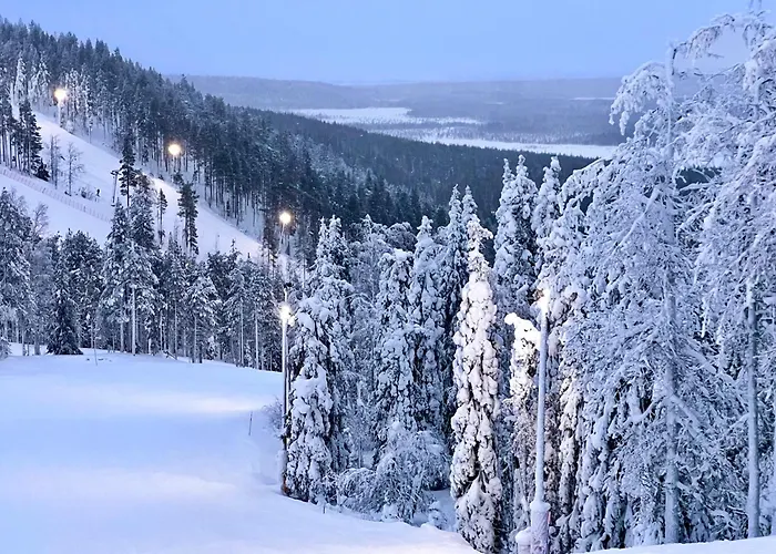 Auroras - Quality 2 Bdr In Prime Location Of * Levi